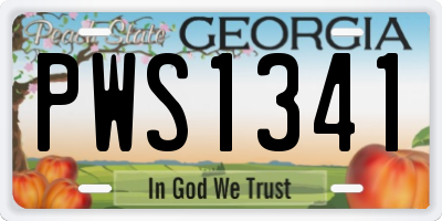 GA license plate PWS1341