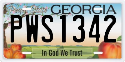 GA license plate PWS1342