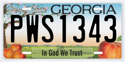 GA license plate PWS1343