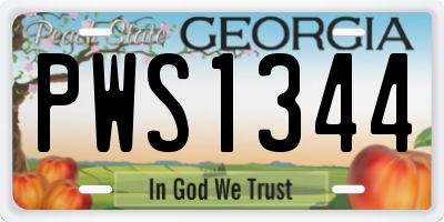 GA license plate PWS1344