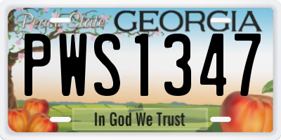 GA license plate PWS1347