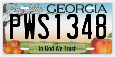 GA license plate PWS1348