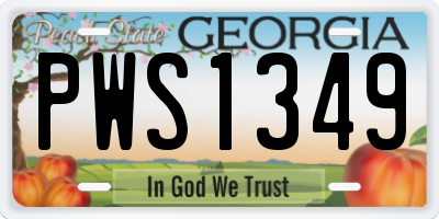 GA license plate PWS1349