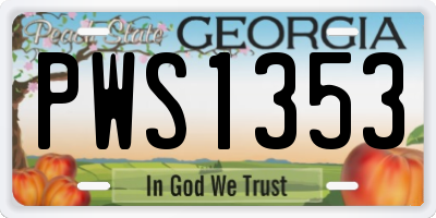 GA license plate PWS1353