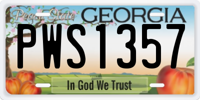 GA license plate PWS1357