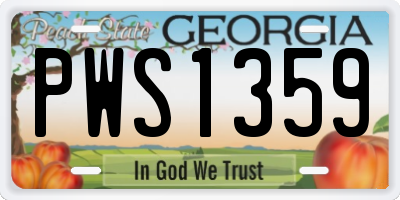 GA license plate PWS1359
