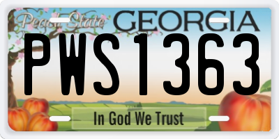 GA license plate PWS1363
