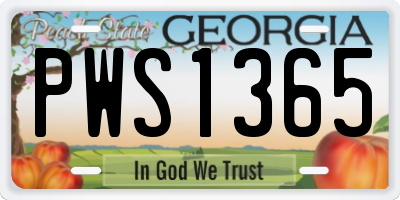 GA license plate PWS1365