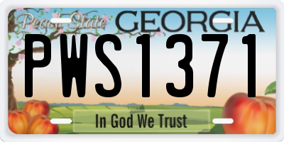 GA license plate PWS1371