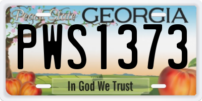 GA license plate PWS1373