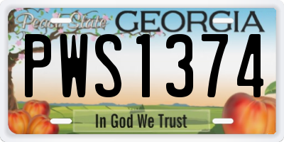 GA license plate PWS1374