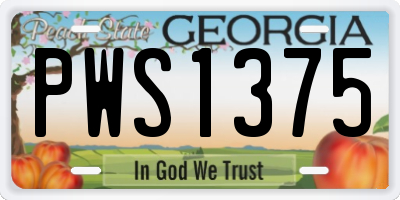 GA license plate PWS1375