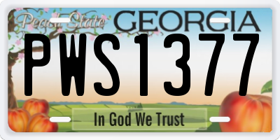 GA license plate PWS1377