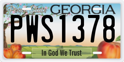 GA license plate PWS1378