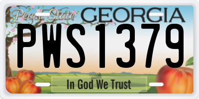 GA license plate PWS1379