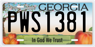 GA license plate PWS1381