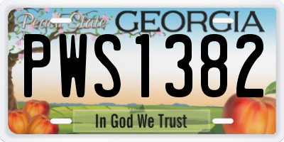 GA license plate PWS1382