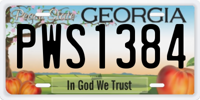 GA license plate PWS1384