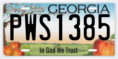 GA license plate PWS1385