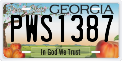 GA license plate PWS1387