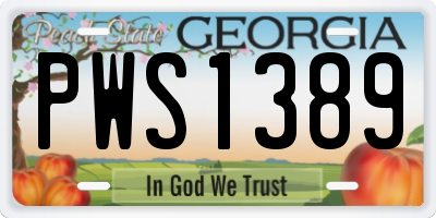 GA license plate PWS1389