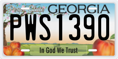 GA license plate PWS1390