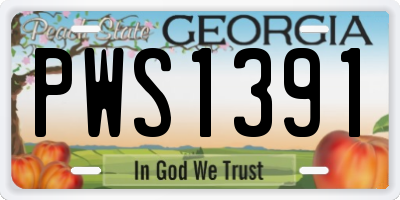 GA license plate PWS1391