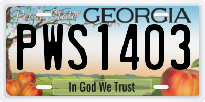 GA license plate PWS1403