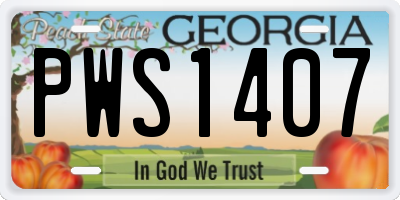 GA license plate PWS1407