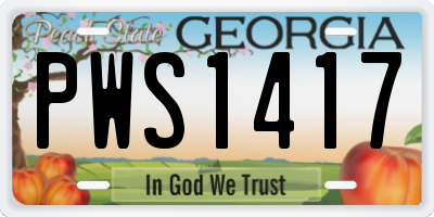 GA license plate PWS1417