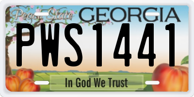 GA license plate PWS1441