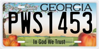GA license plate PWS1453