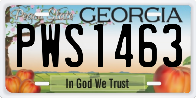 GA license plate PWS1463
