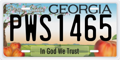 GA license plate PWS1465