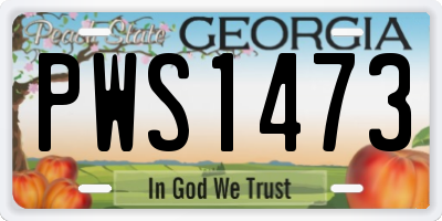 GA license plate PWS1473