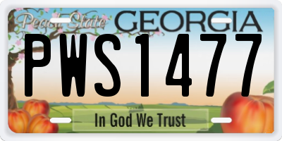 GA license plate PWS1477