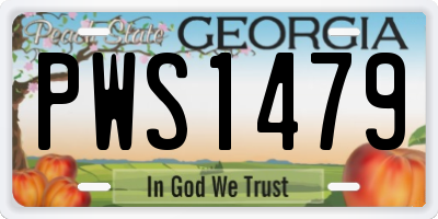 GA license plate PWS1479