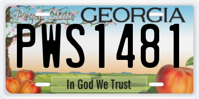 GA license plate PWS1481