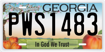 GA license plate PWS1483