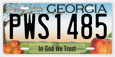 GA license plate PWS1485