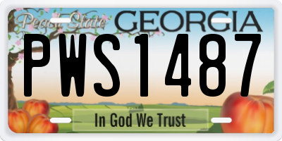 GA license plate PWS1487