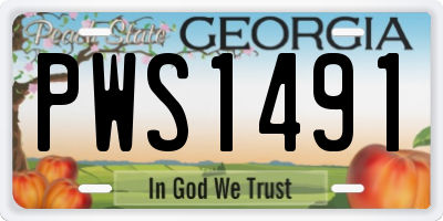 GA license plate PWS1491