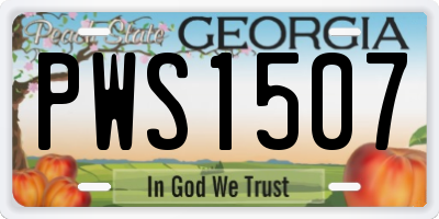 GA license plate PWS1507