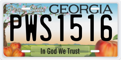 GA license plate PWS1516