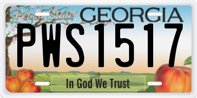GA license plate PWS1517