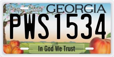 GA license plate PWS1534