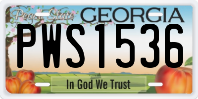 GA license plate PWS1536
