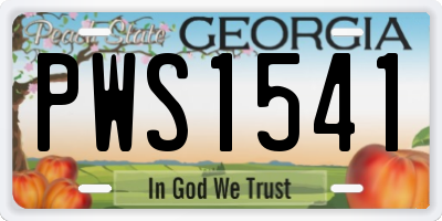 GA license plate PWS1541