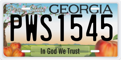 GA license plate PWS1545