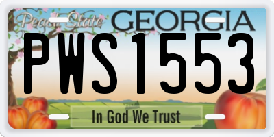 GA license plate PWS1553